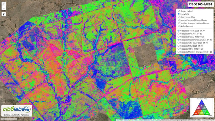 Detailed pasture yield