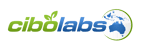 PNG Transparent background-1.png]